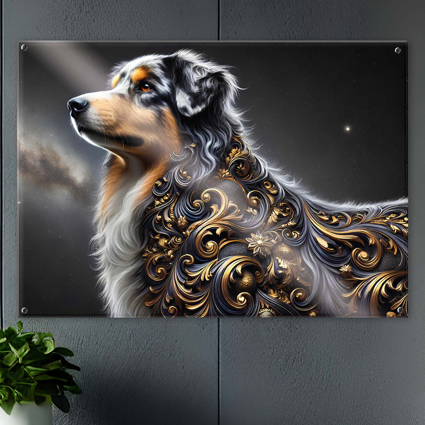 Tableau Berger Australien Noir & Or - 01 - Verre Acrylique