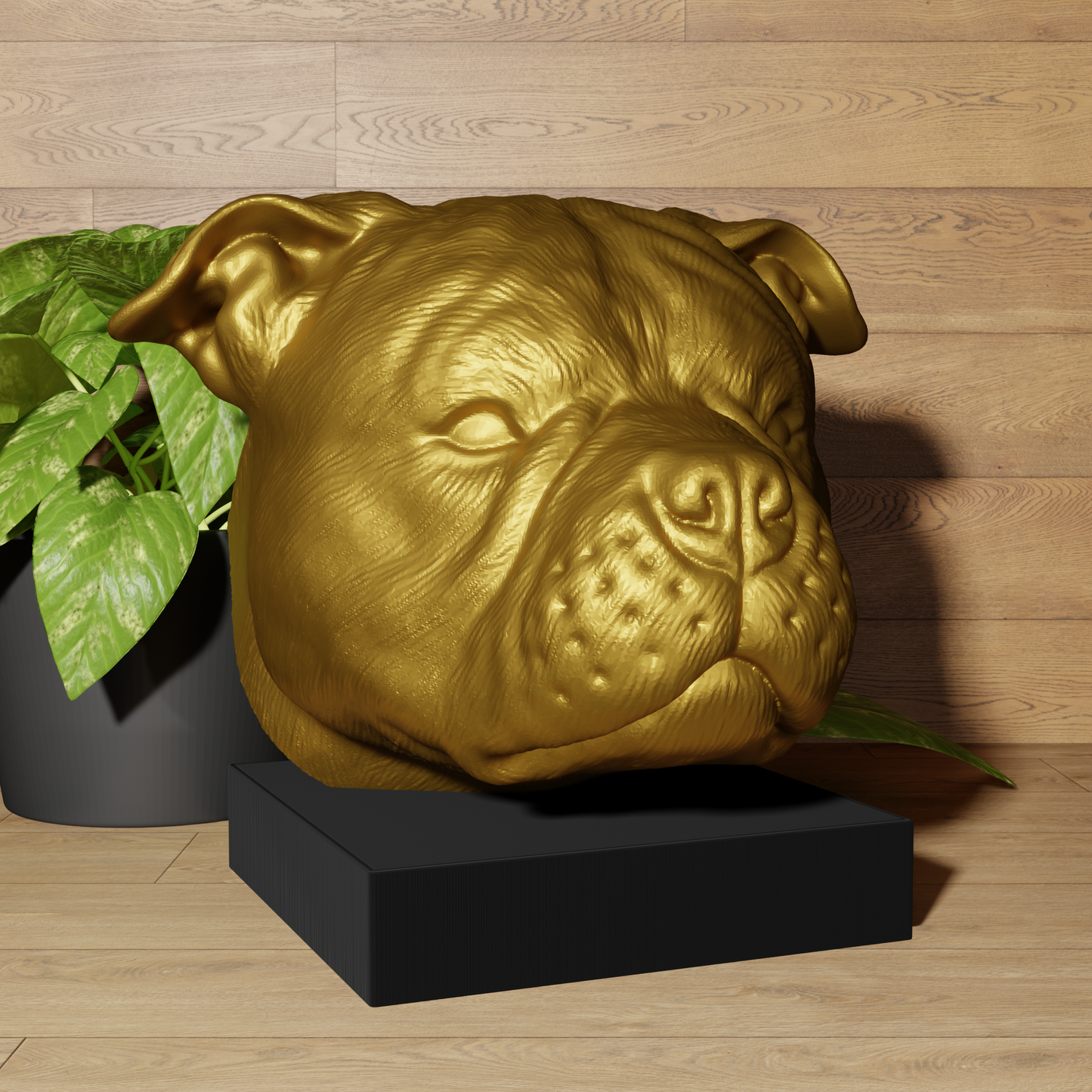 Buste American Bully - Urne - Décoration Réaliste