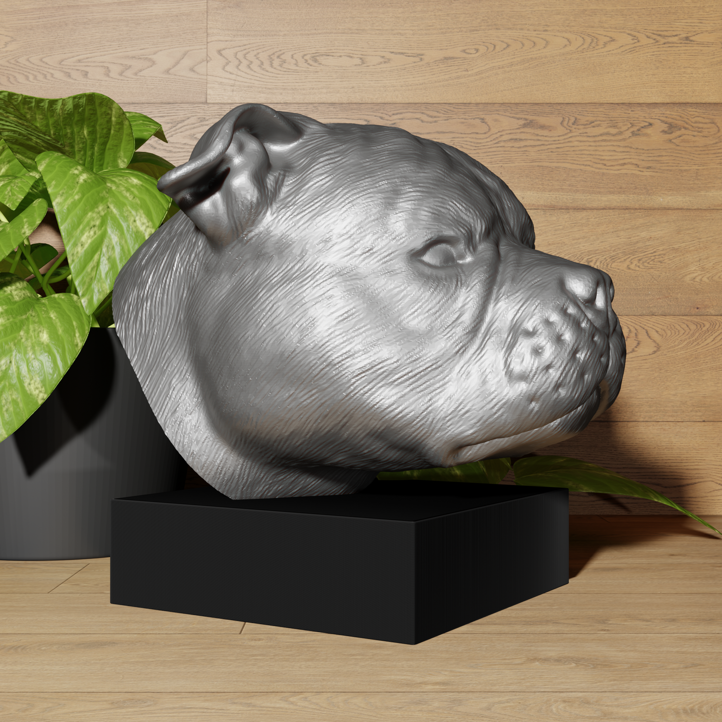 Buste American Bully - Urne - Décoration Réaliste